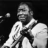 muddy_waters_blues_guitar_chicago